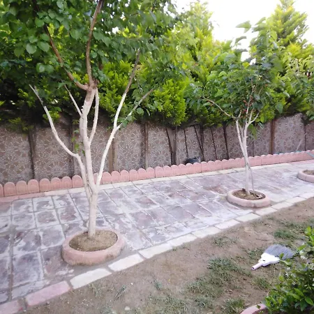 Villa فلل 