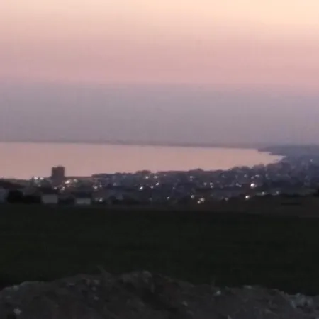 فلل 